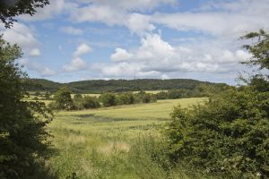 Guisborough - Mark Davis Photography